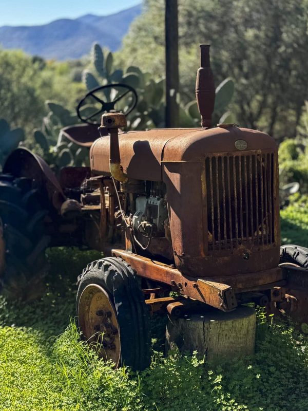 Bioloco_La nostra azienda agricola innovativa_ (6)