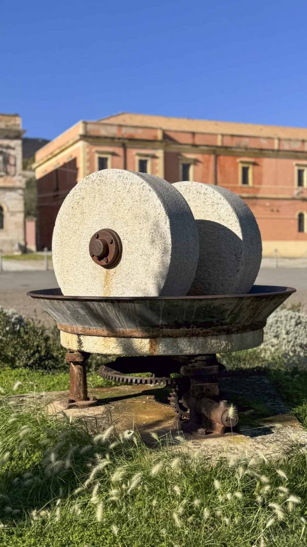 Bioloco_Valori filosofia storia_ (5)