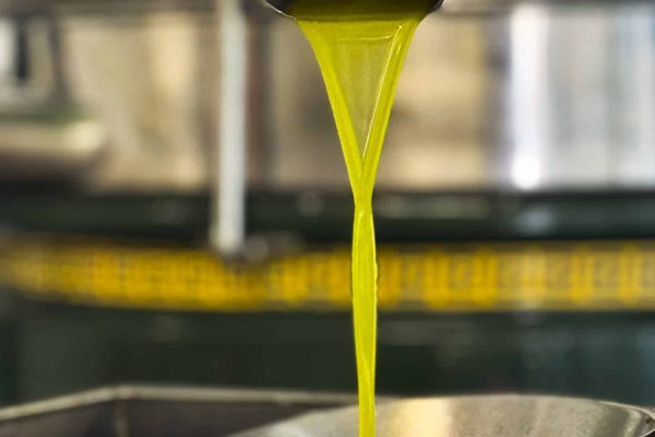 Bioloco_olio_-1.jpg