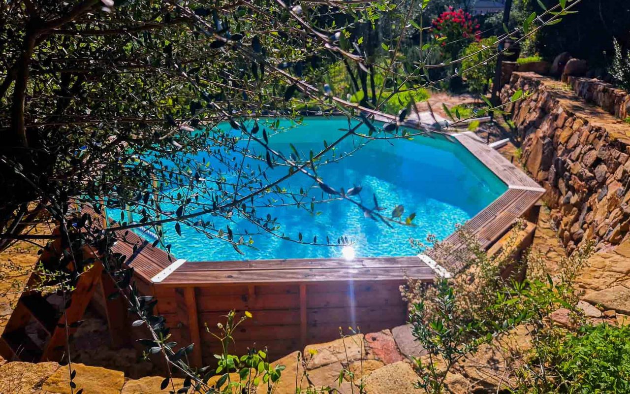 Bioloco | Piscina immersa nell'uliveto
