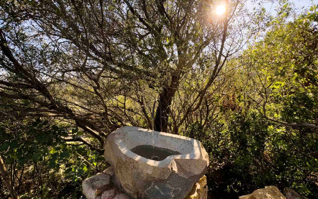 Bioloco | Lavandino in granito con vista nel verde